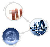 第三重創就業服務：多元化就業渠道，暢通無阻。