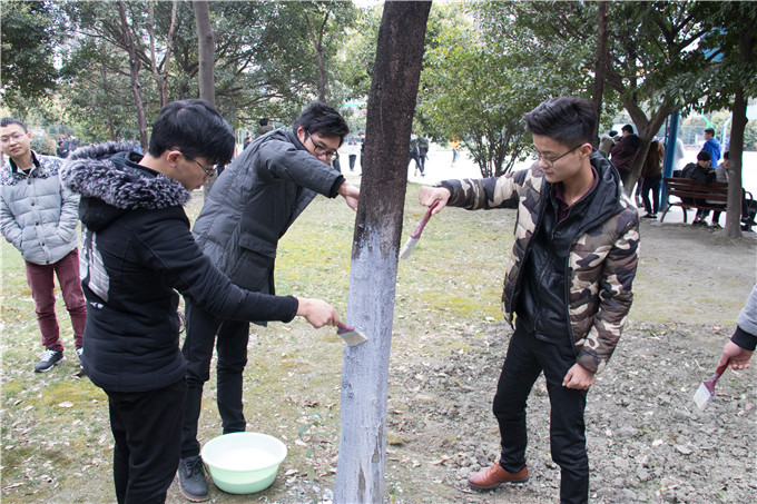 植樹節，四川新華師生在行動！