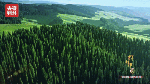 喜迎十九大，國力強盛人民歡慶
