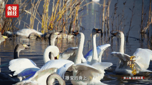 喜迎十九大，國力強盛人民歡慶