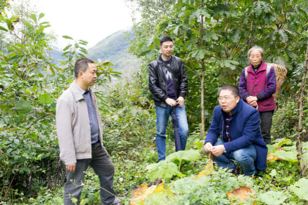 不忘初心 牢記使命 三下白羊鄉(xiāng) 助力農(nóng)村產(chǎn)業(yè)邁出新步伐！