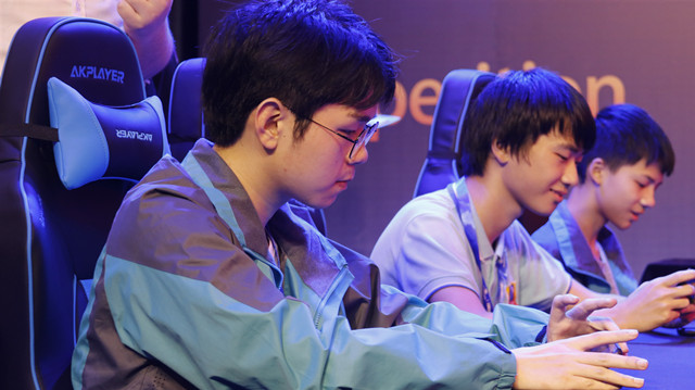 我院應邀參加第十七屆中國國際軟件合作洽談會