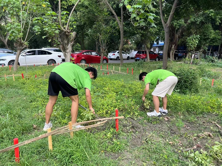 豐收季來襲！新華農(nóng)場喜迎豐收季~
