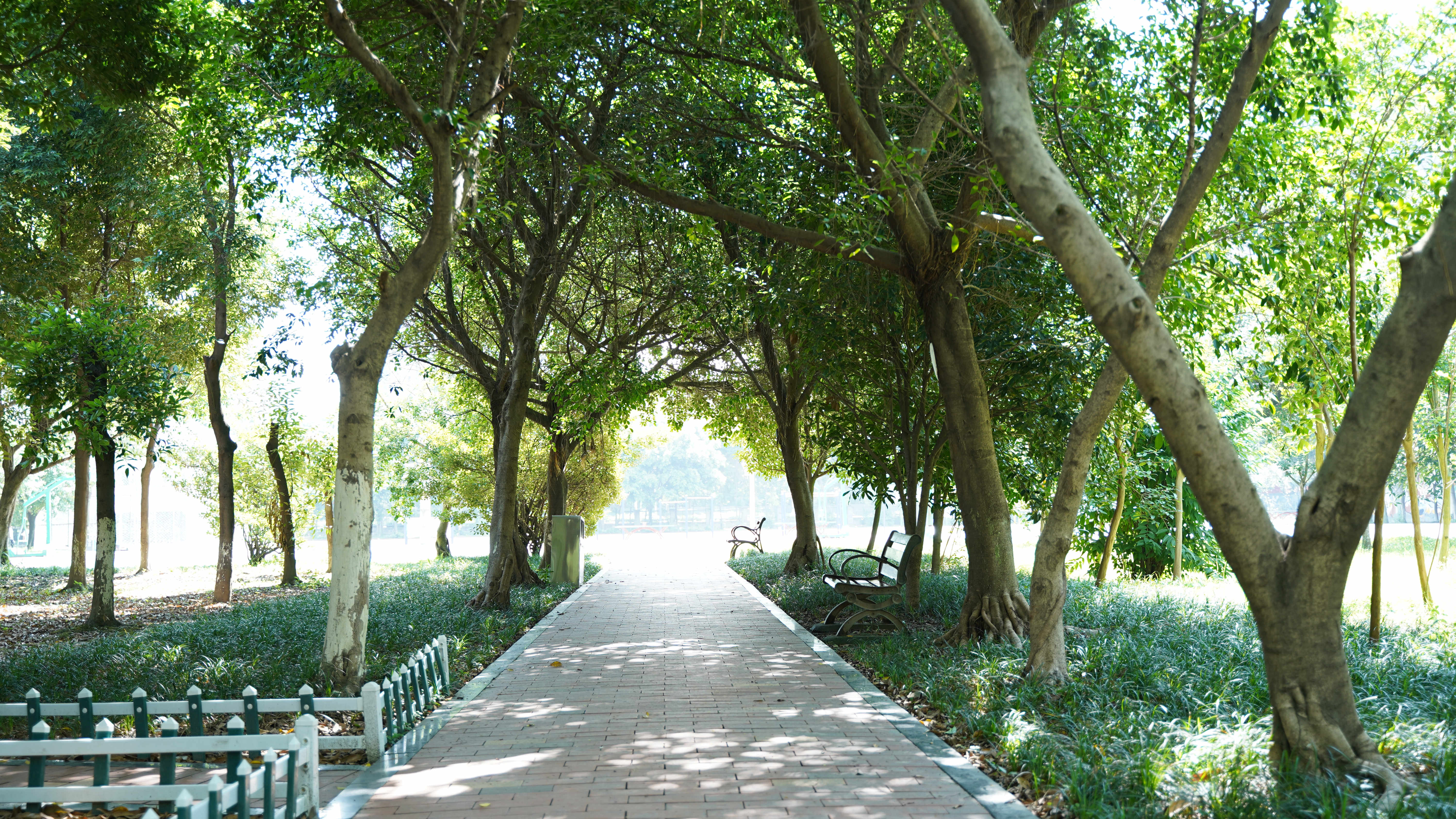 考不上初中怎么選學校？